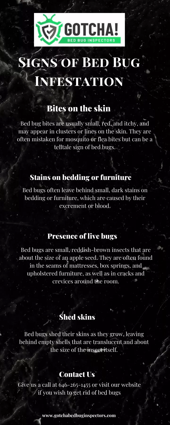 signs of bed bug infestation