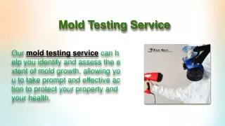 mold testing service