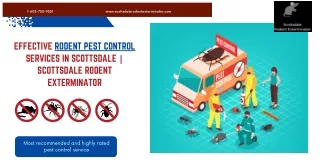 Effective Rodent Pest Control Services in Scottsdale  Scottsdale Rodent Exterminator