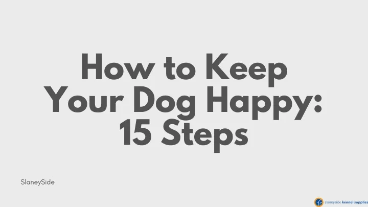 how to keep your dog happy 15 steps