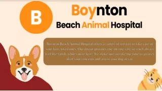 Boyntonbeachanimalhospital