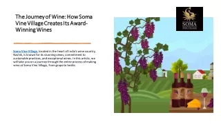 The Journey of Wine How Soma Vine Village Creates Its Award-Winning Wines