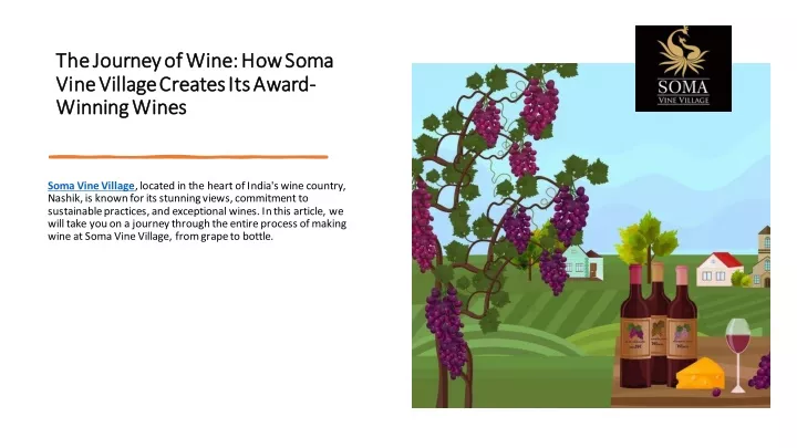 the journey of wine how soma the journey of wine