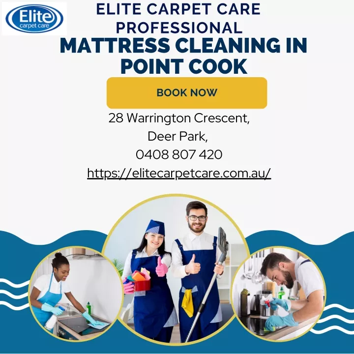 elite carpet care