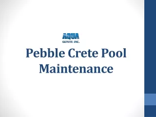 Pebblecrete Pool Maintenance
