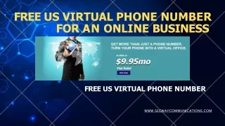 Free US Virtual Phone Number For An Online Business