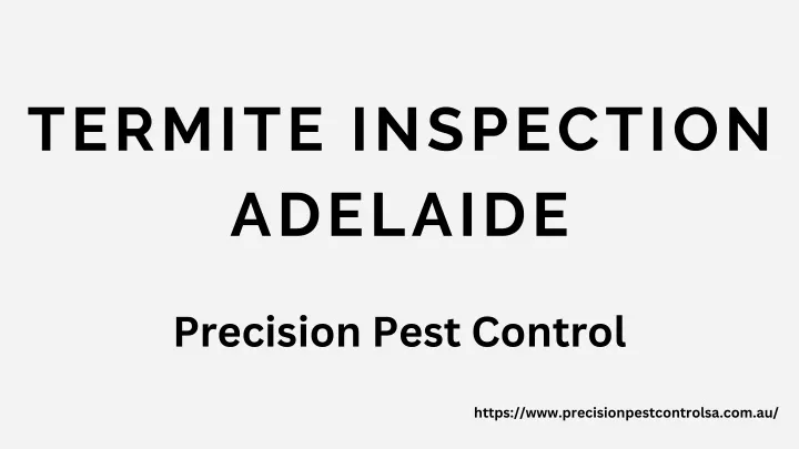 termite inspection adelaide