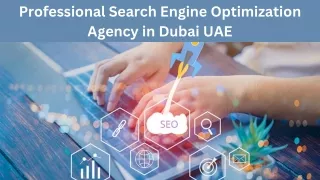 Professional Search Engine Optimization Agency in Dubai UAE