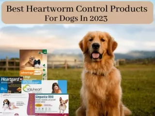Best Heartworm Control Products For Dogs In 2023