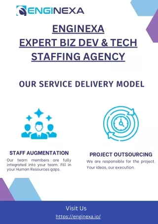 Enginexa Professional Tech Staffing Solutions