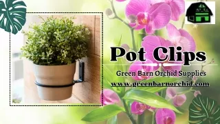 The Strongest and Stainless Steel Material Pot Clips at Green Barn Orchid