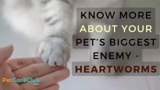 Know more about your Pet's Biggest Enemy - Heartworms | PetCareClub