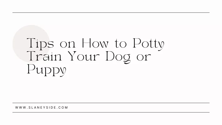 tips on how to potty train your dog or puppy