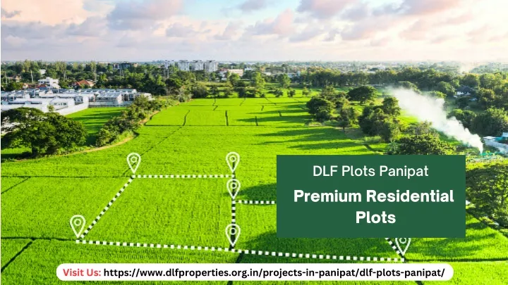 dlf plots panipat