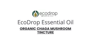 Organic Chaga Mushroom Tincture - EcoDrop Essential Oil