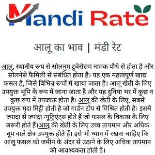 आलू का भाव  मंडी रेट