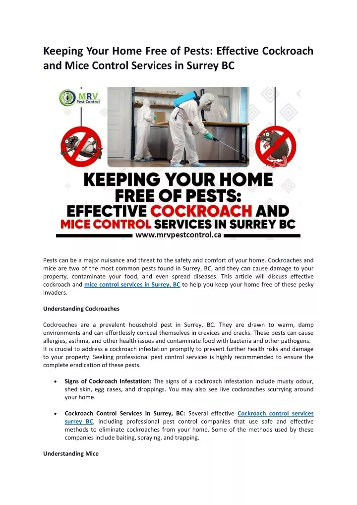 keeping your home free of pests effective