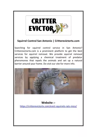 Squirrel Control San Antonio | Critterevictortx.com
