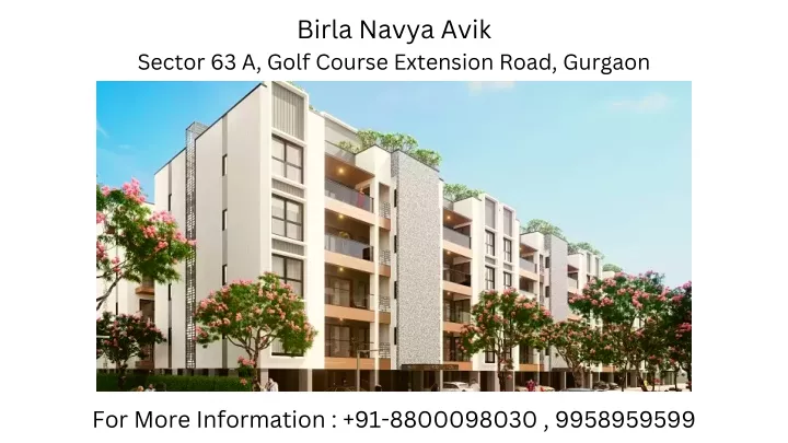 birla navya avik