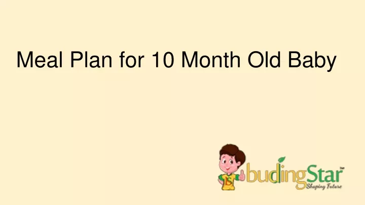 meal plan for 10 month old baby