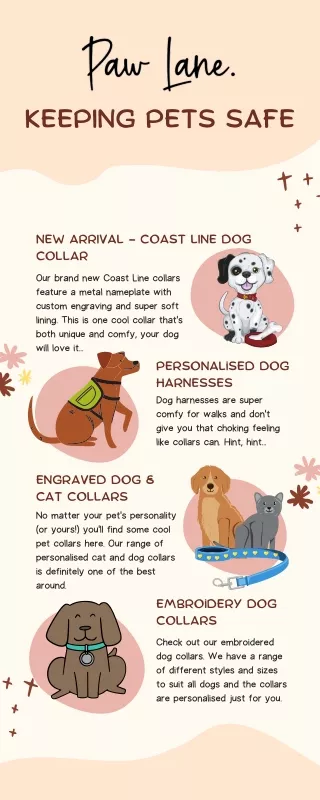 The Best Dog Harnesses for Active Dogs