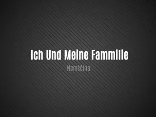 ich und meine fammilie nem ina