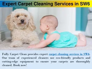 Expert Carpet Cleaning Services in SW6