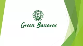Resort Green Banaras