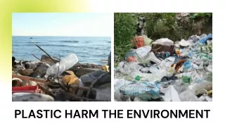 Henning Weigand What is plastic pollution with example