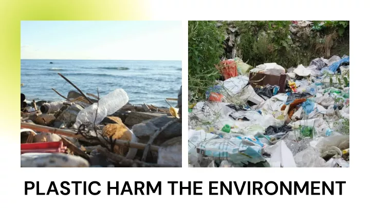 plastic harm the environment