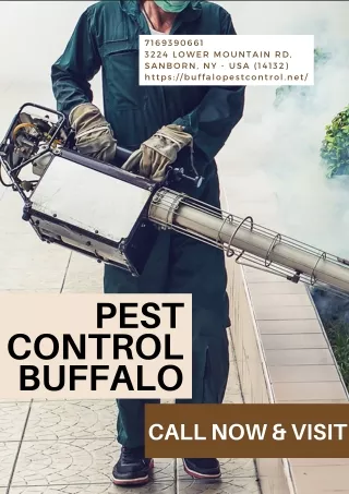 Pest Control Companies buffalo | Buffalopestcontrol.net