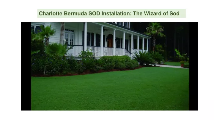 charlotte bermuda sod installation the wizard