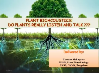 Plant Bioacoustic
