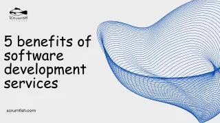 5 benefits of software development services