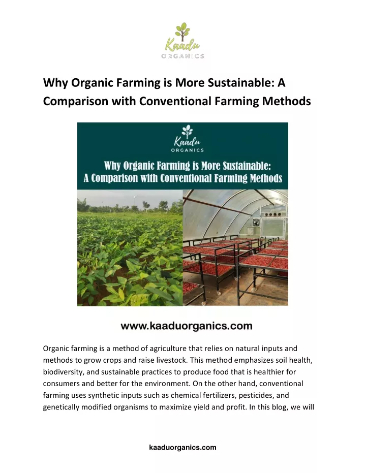 why organic farming is more sustainable