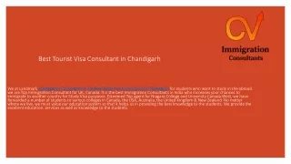 CV Immigration