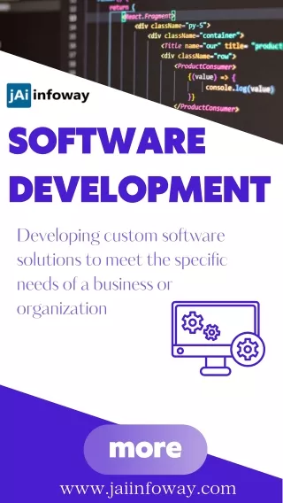 software development