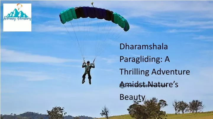 dharamshala paragliding a thrilling adventure