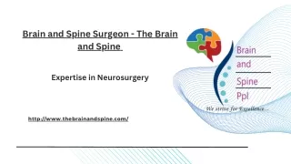 Brain and Spine Surgeon - The Brain and Spine