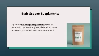 Brain Support Supplements