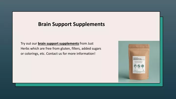 brain support supplements
