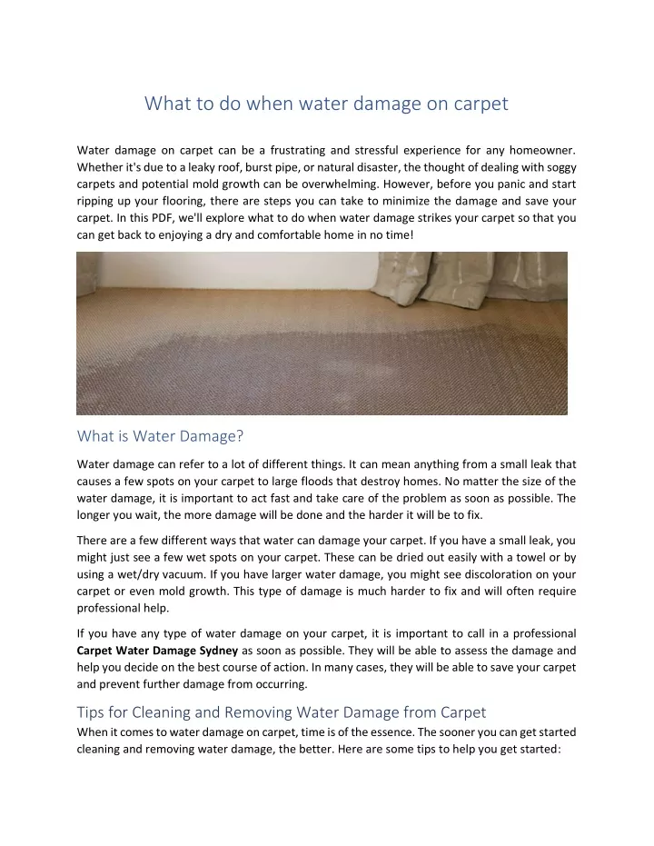 what to do when water damage on carpet