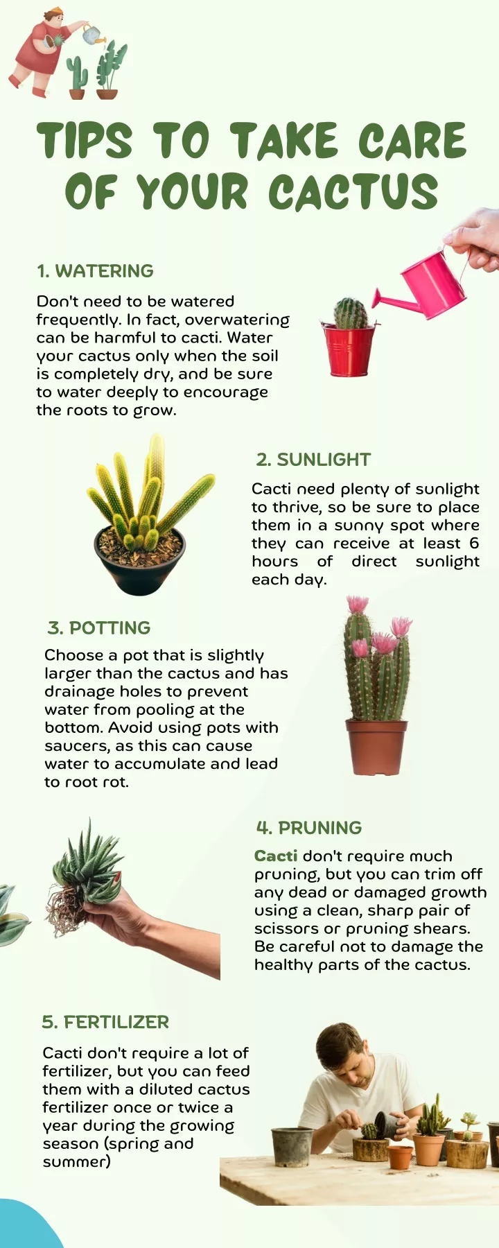 tips to take care of your cactus