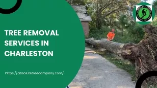 Tree Removal Services in Charleston | Absolute Trees