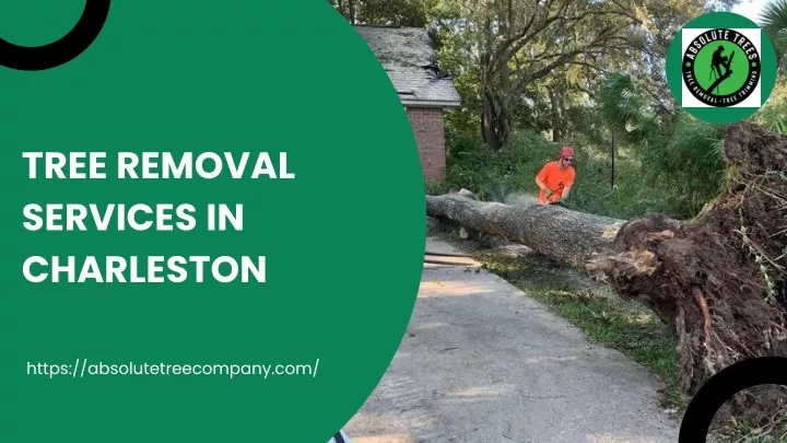 tree removal services in charleston