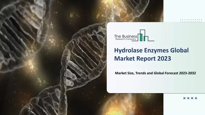 hydrolase enzymes global market report 2023