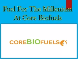 Fuel For The Millenium At Core Biofuels