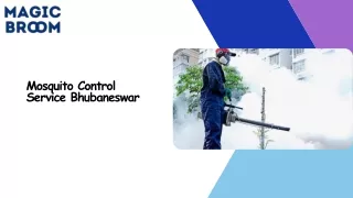 Mosquito Control Service Bhubaneswar