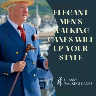 Elegant Men's Walking Canes Will Up Your Style