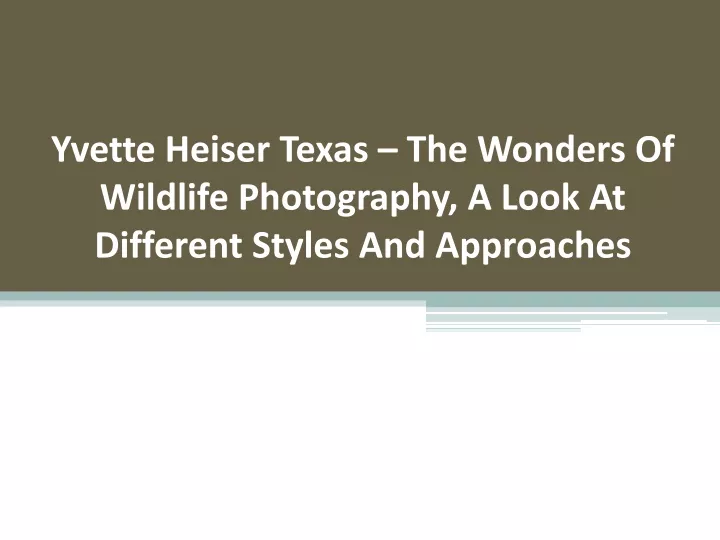 yvette heiser texas the wonders of wildlife photography a look at different styles and approaches